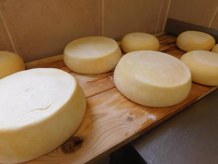 Sirarstvo Secnik (11)